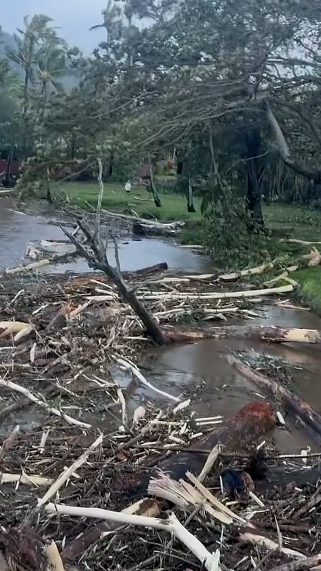 Hurricane Lowell batters Hawaii