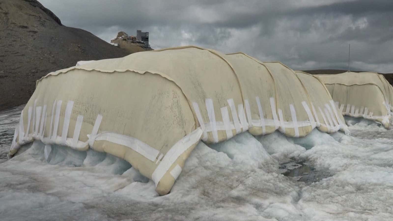 Could sheep's wool help save Switzerland's melting glaciers?