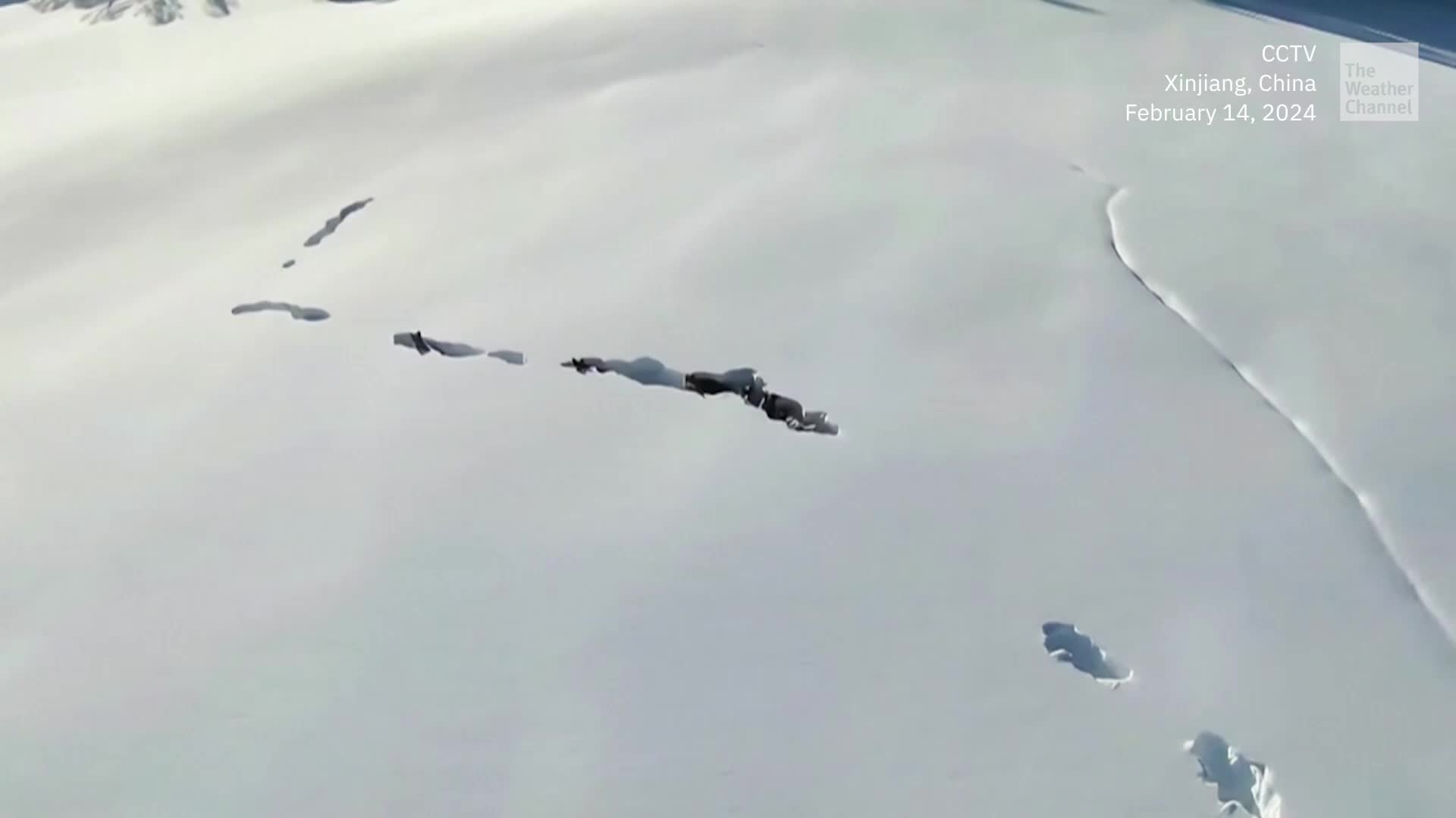 A Herder&rsquo;s Drone Captured Wolves Tunneling Through Deep Snow