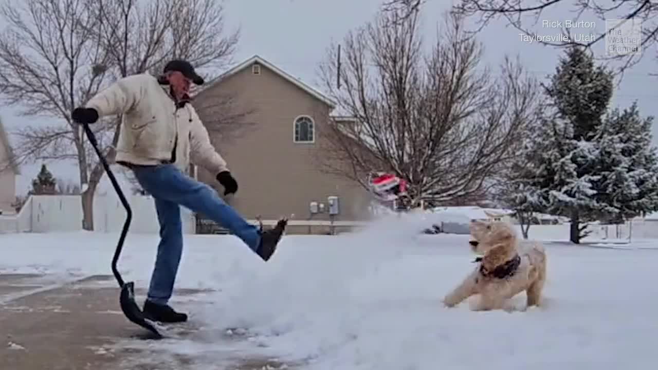 A Wild Week Of Animals On The Go In Snow And More