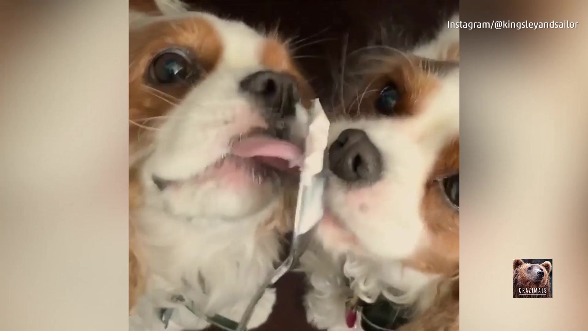 Adorable Duo Shares Sweet Treat