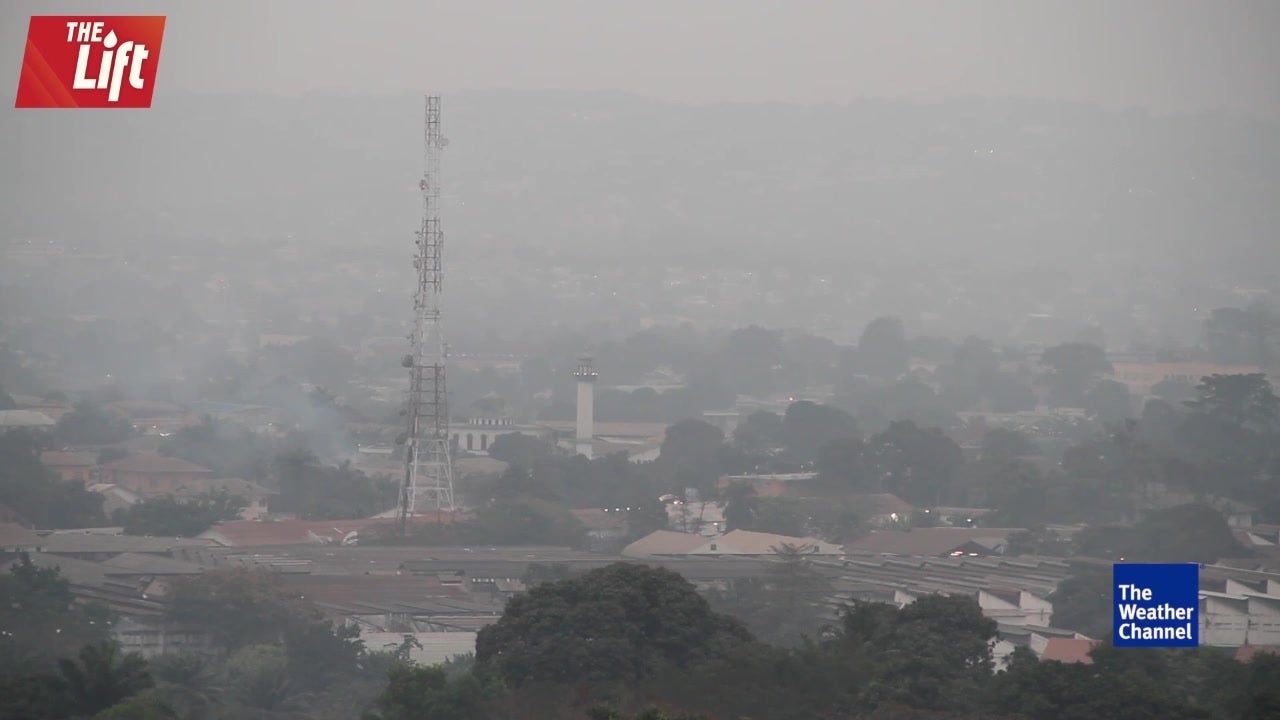 Air Pollution Affects Babies’ Brains, Weight