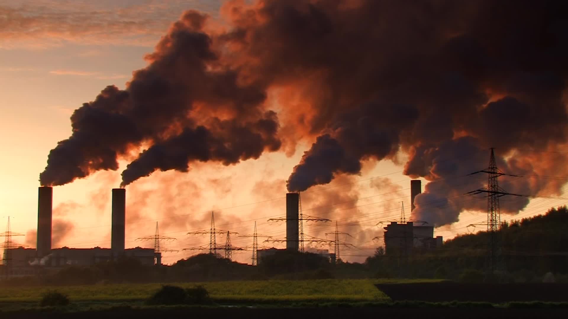 Air Pollution Linked to Millions of Premature Births, Study Finds