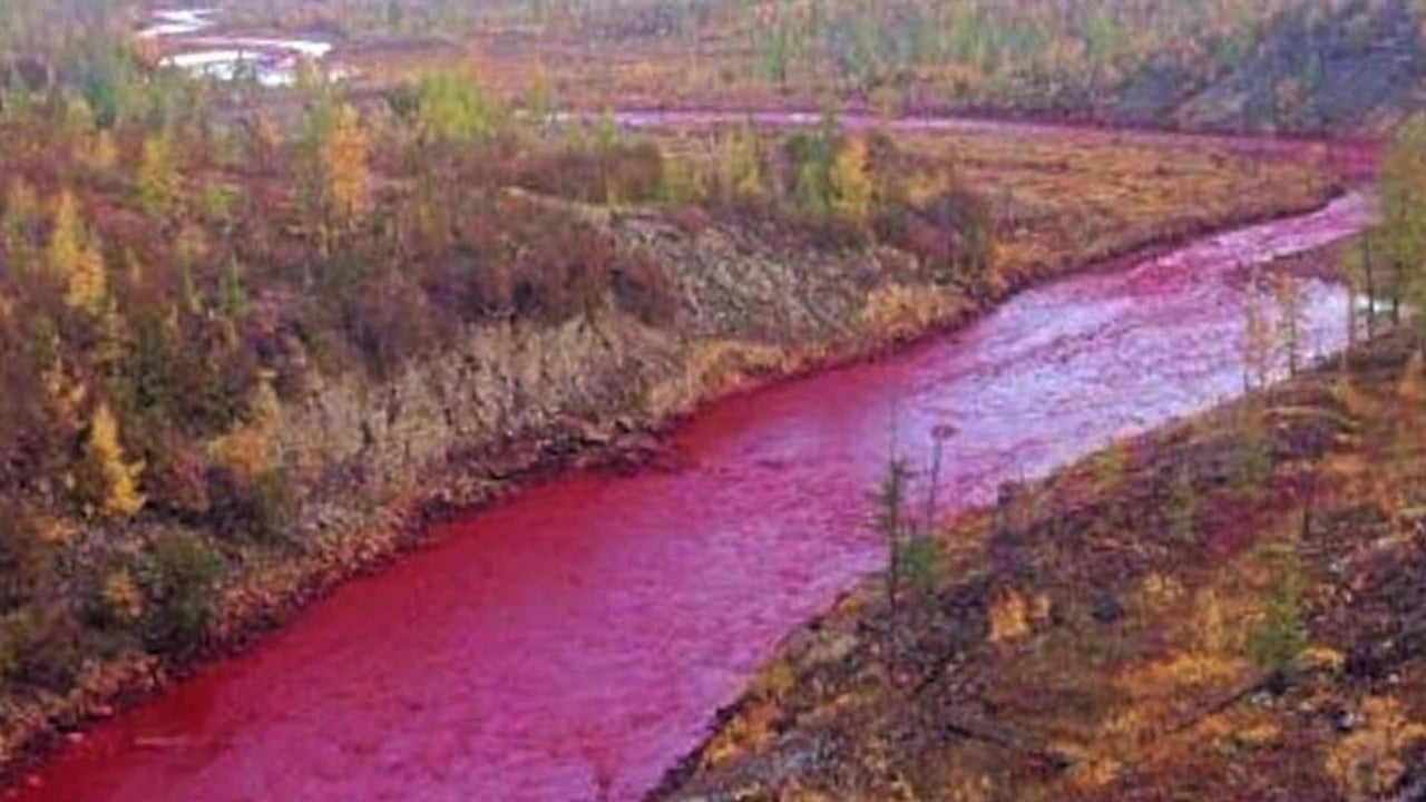 Alarming Sight as Russia River Runs Crimson 