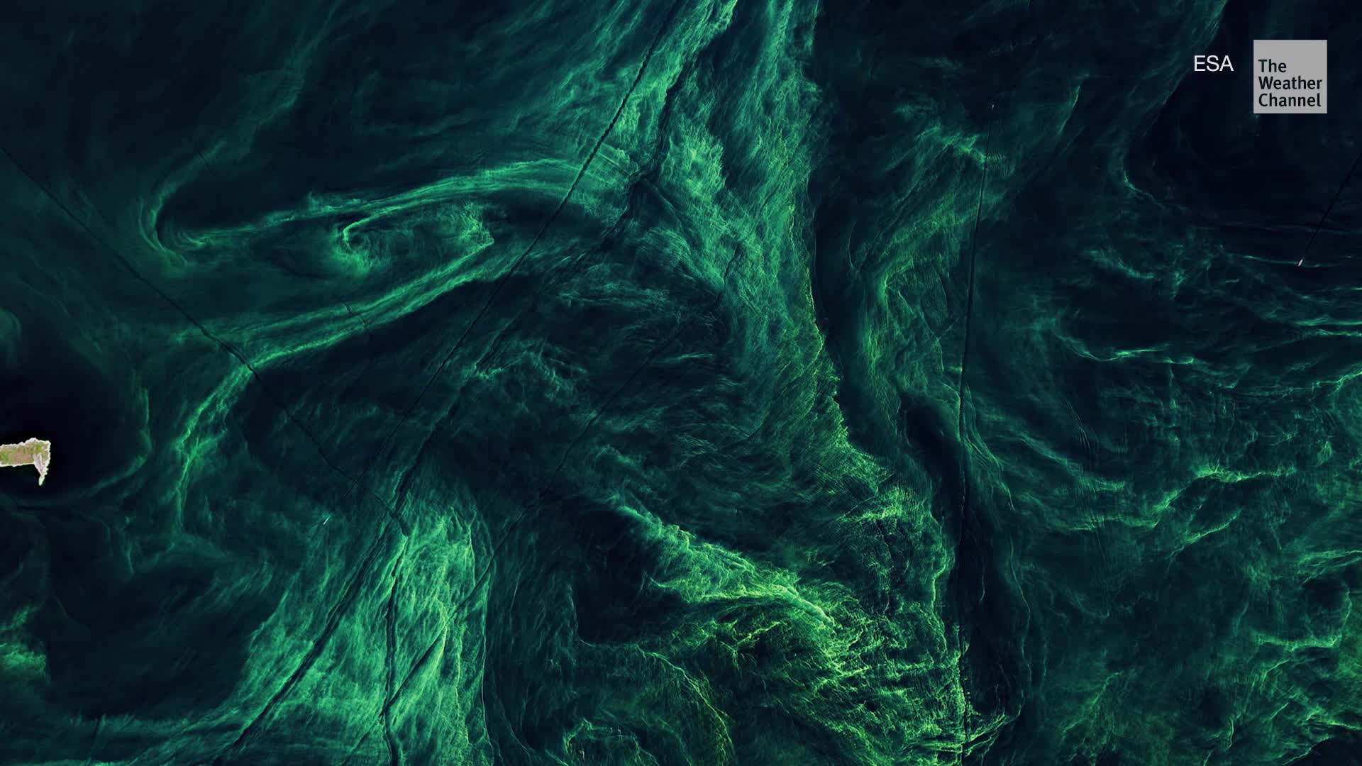 Algae Bloom in Baltic Sea Seen from Space