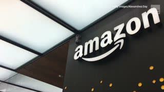 Amazon Announces They Will Make Carbon Footprint Data Public