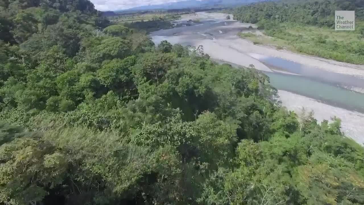 Amazon Rainforest Drying Out Due to Human Activity, Study Finds
