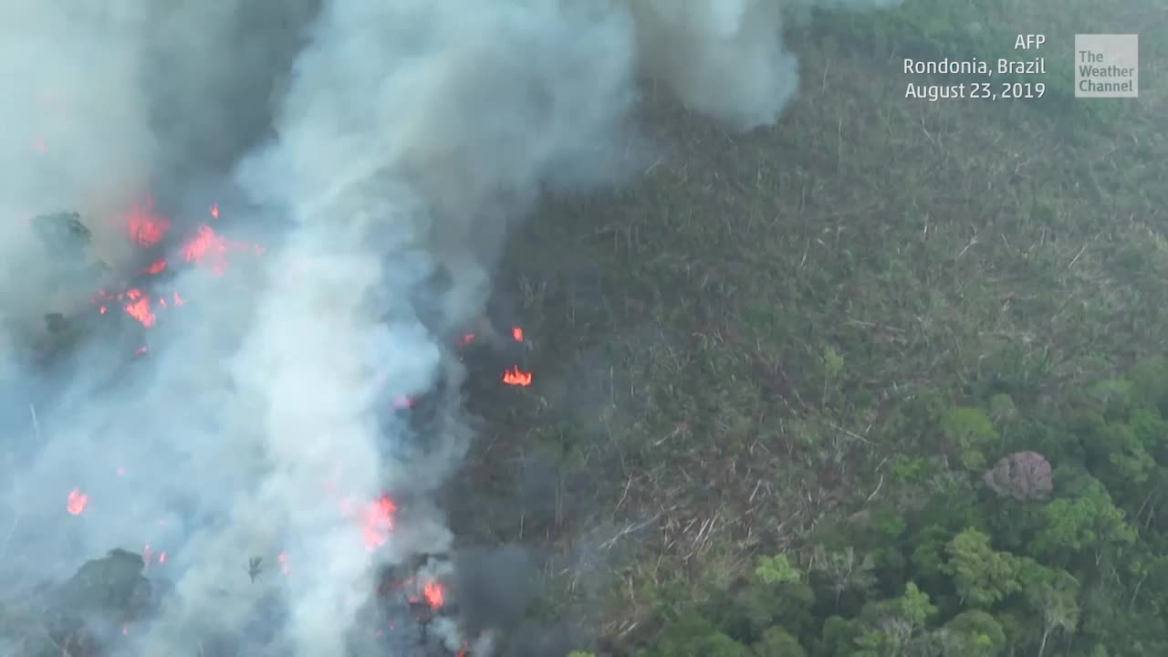 Amazon Rainforest Fires Releasing Plumes of Carbon Monoxide