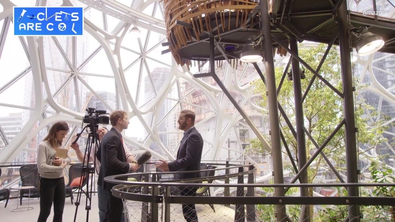 Amazon Unveils Indoor Rainforest Called ‘The Spheres’ In Seattle