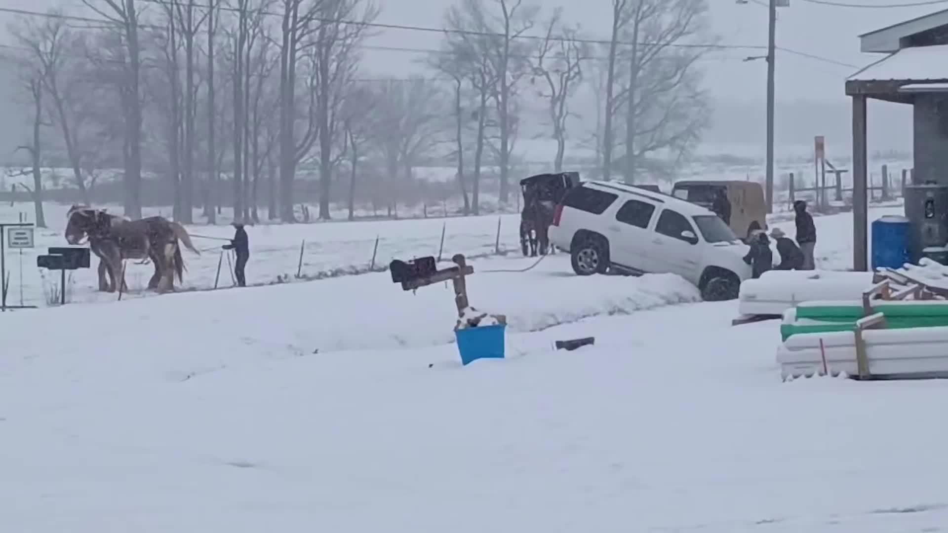 Amish Man Pulls Car From Ditch Using Literal Horse Power