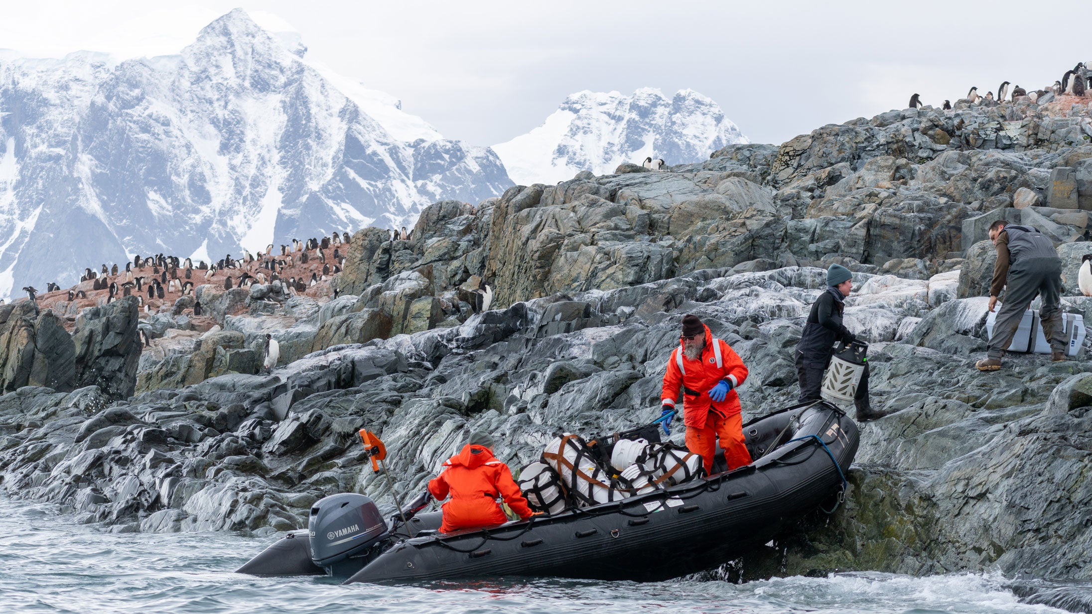 Scientists landing in Antarctic for near-shore research.