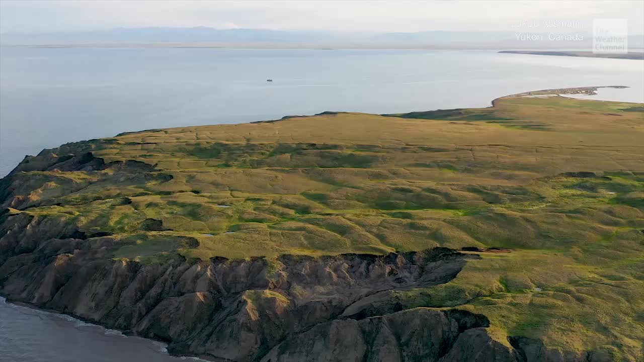 Arctic Getting Greener is Cause for Concern