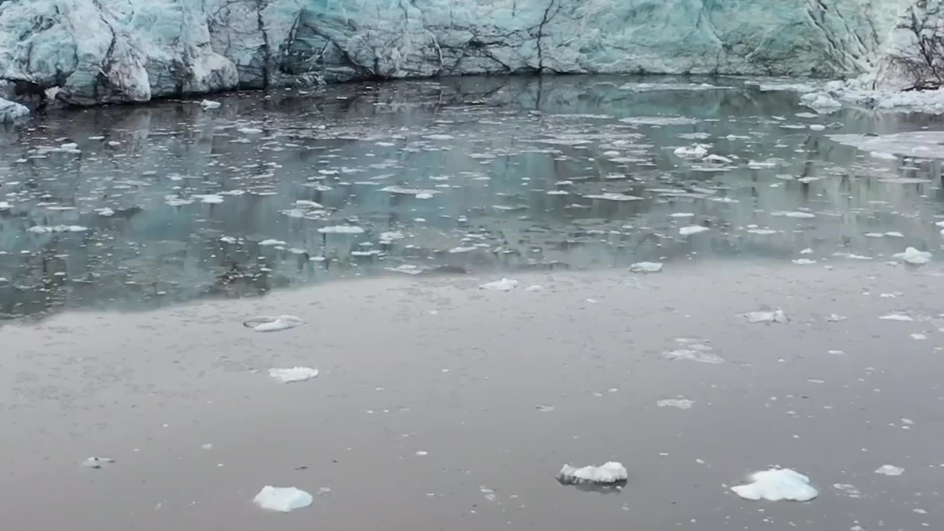 Arctic Sea Ice Plummets to Record Low