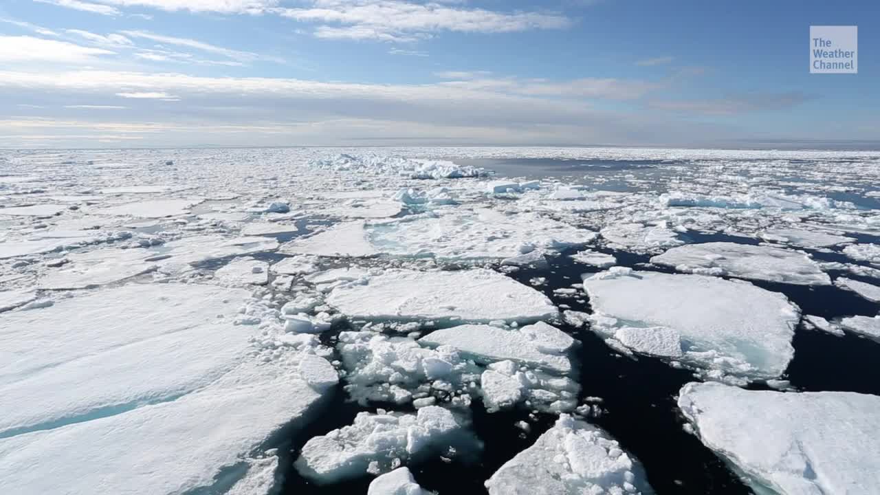 Arctic Sea Ice Plunges to Second-Lowest Annual Minimum on Record
