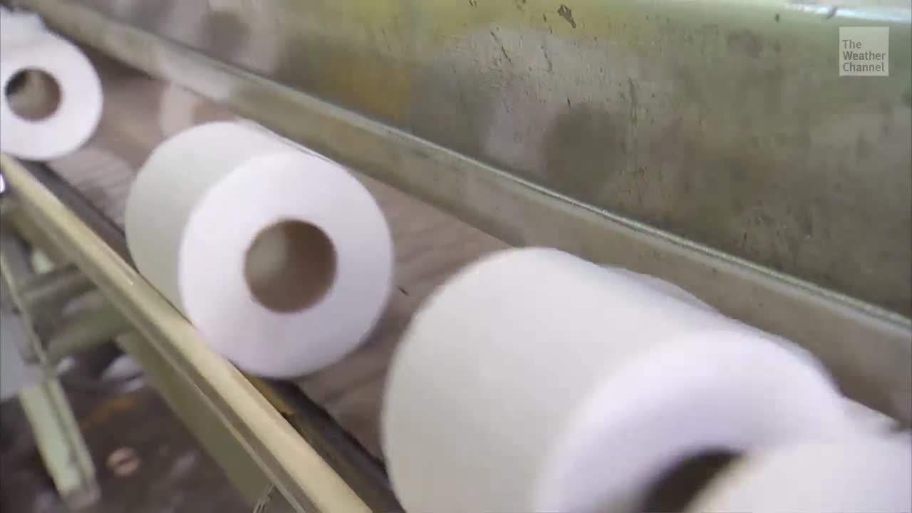 Are Americans Flushing the Environment Down the Toilet?