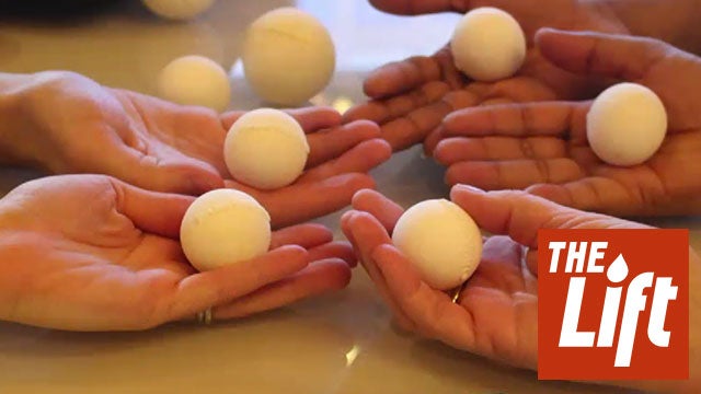 Are These Turtle Eggs Real or Fake