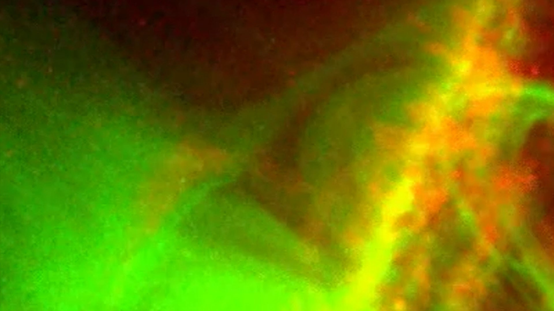 Astronomers Spot New Kind of Explosion on Sun