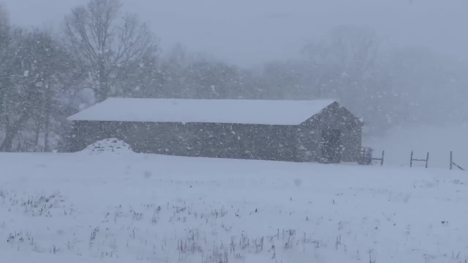 At Least 14 Dead In Winter Storms In Tennessee