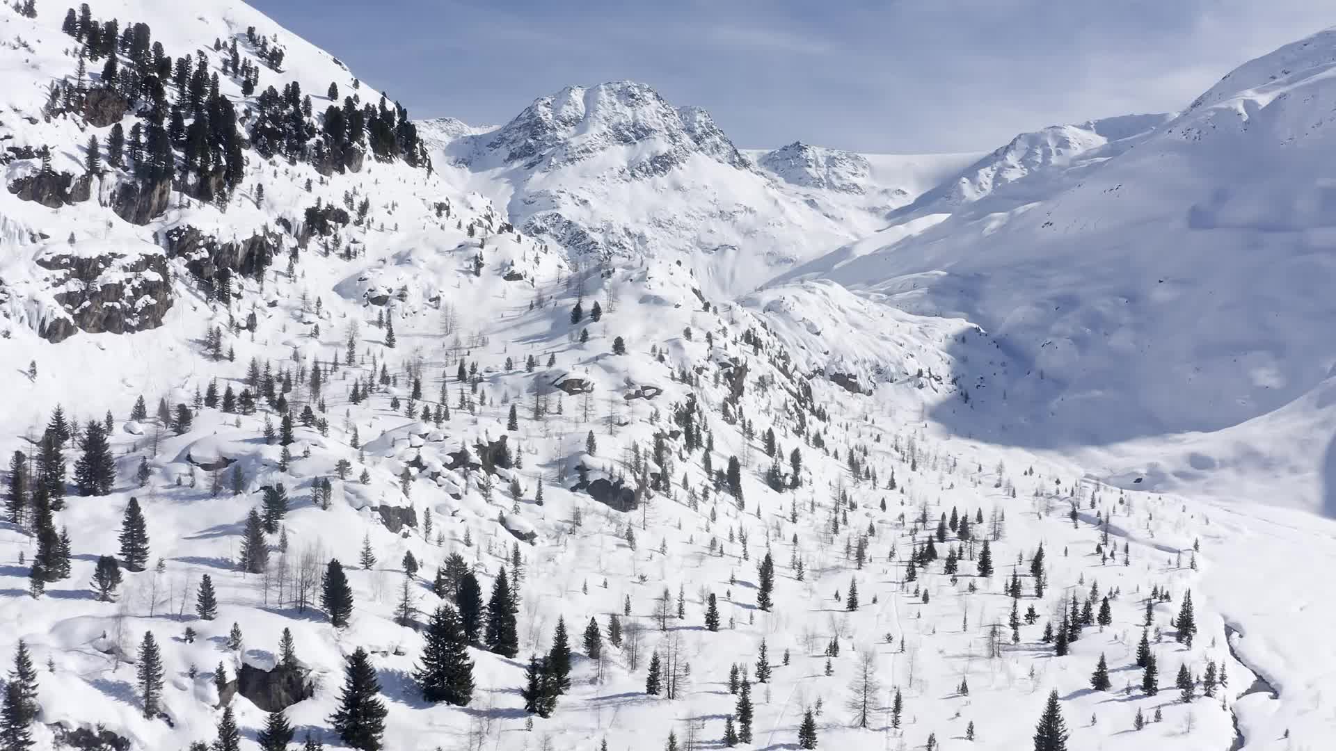 Austrian Alps Contaminated with Nanoplastic-Polluted Snow