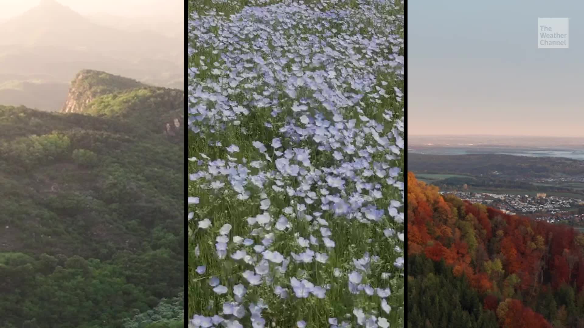 Autumn Around The World: Can You Guess These Locations?