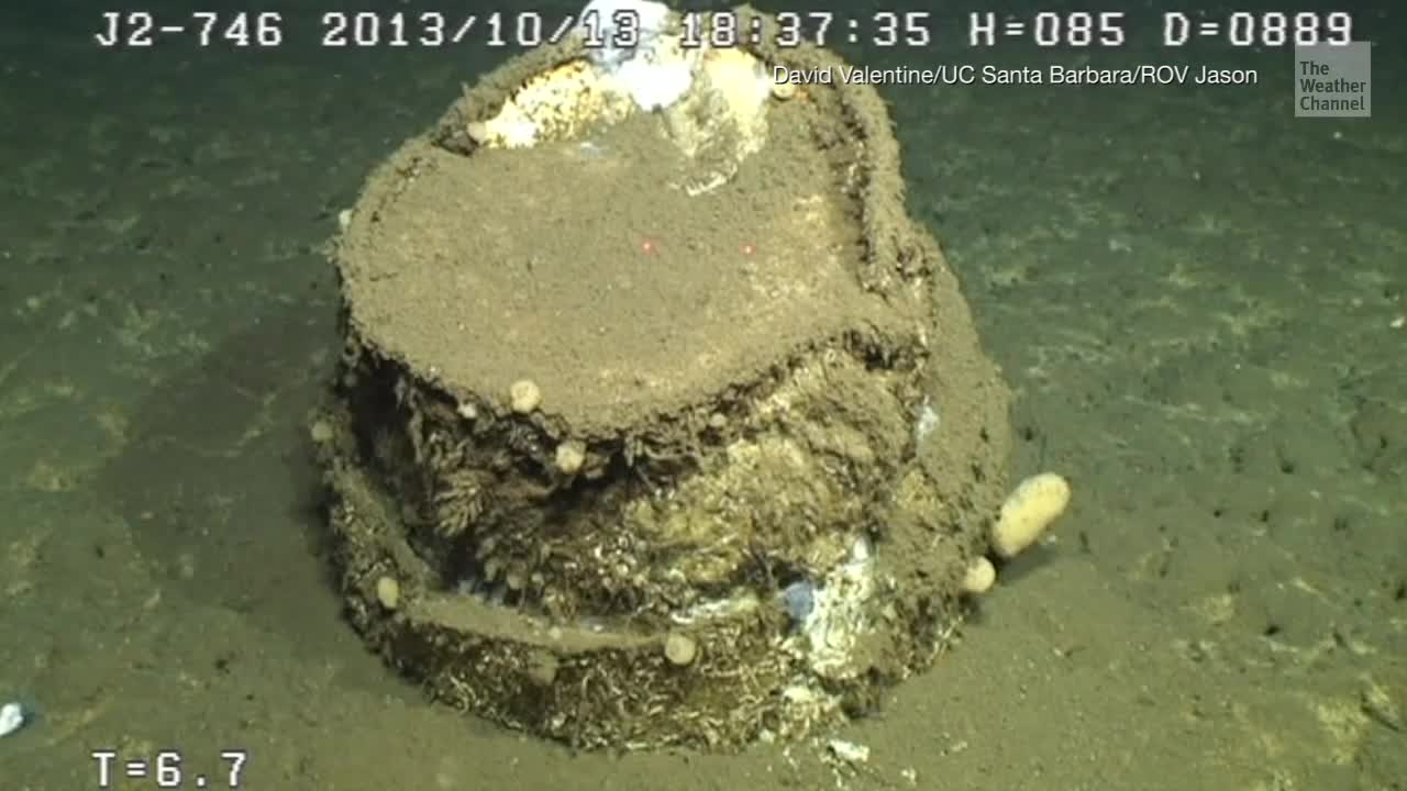 Barrels of Toxic Waste Found Leaking off Los Angeles Coast