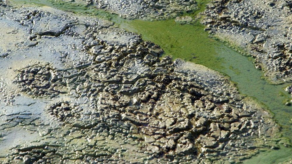 Big Prize for Best Way to Remove Phosphorus From Water