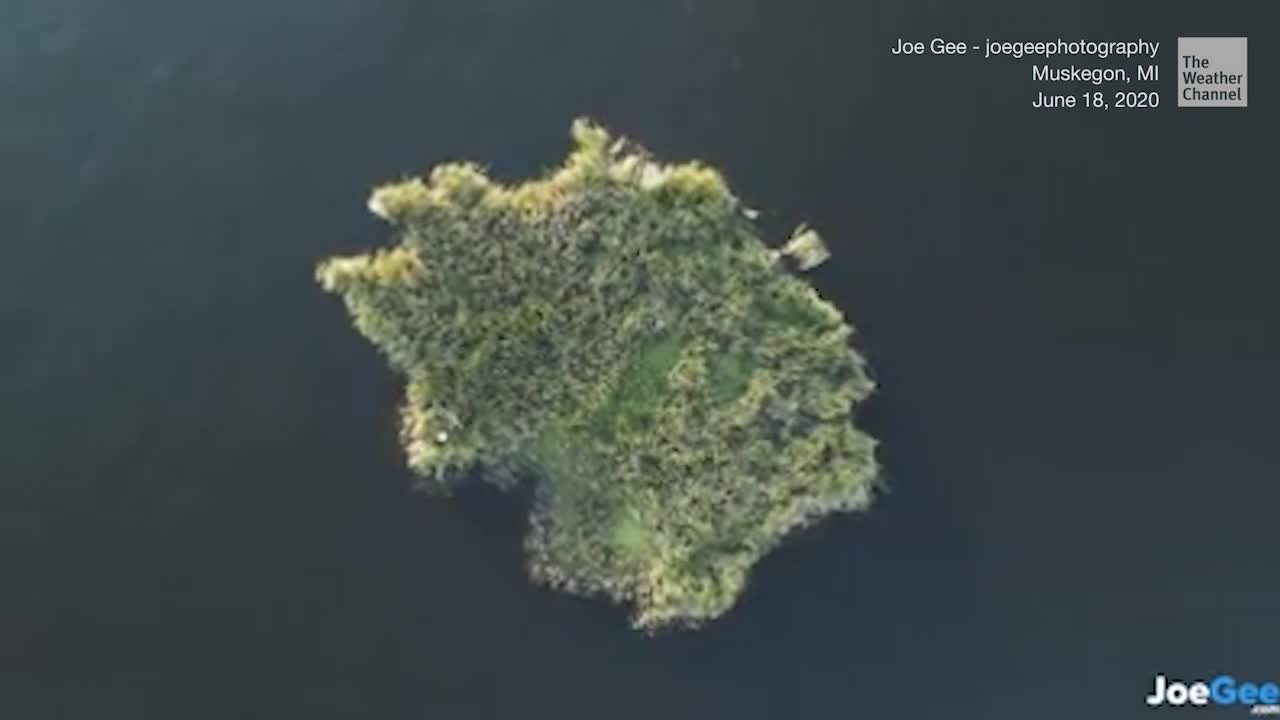 Bizarre Island Spotted on Michigan's Muskegon Lake