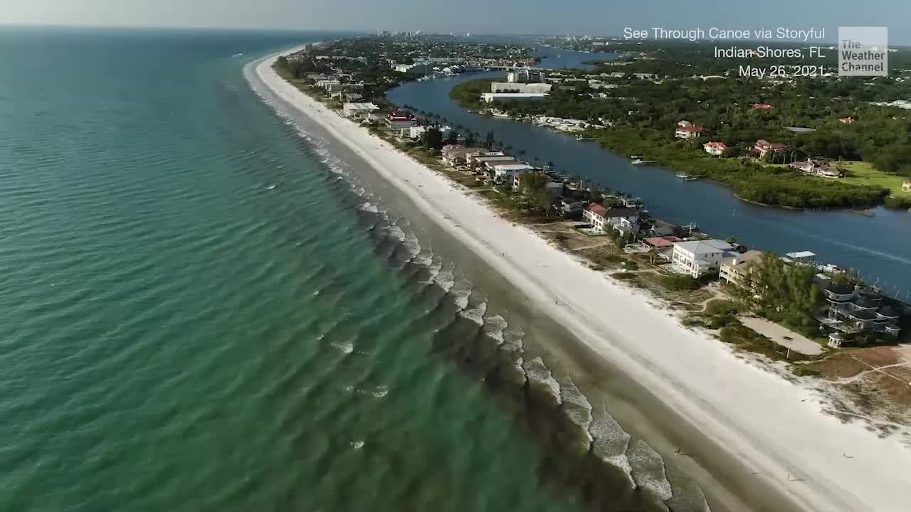 Blue-Green Algae Bloom is Fouling Waters off Florida’s Gulf Coast