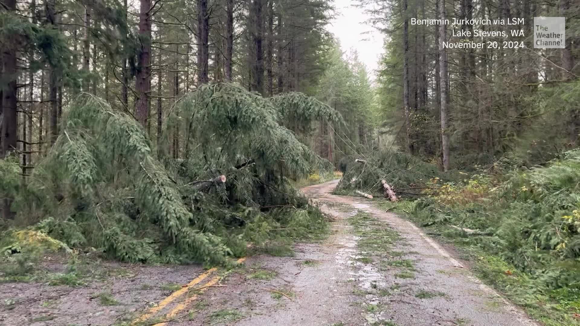Bomb Cyclone Turns Deadly In Washington