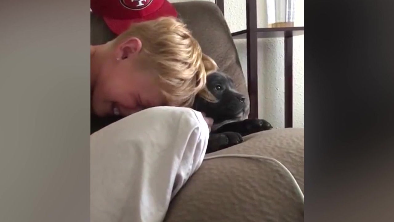 Boy Cries When He Sees New Pup