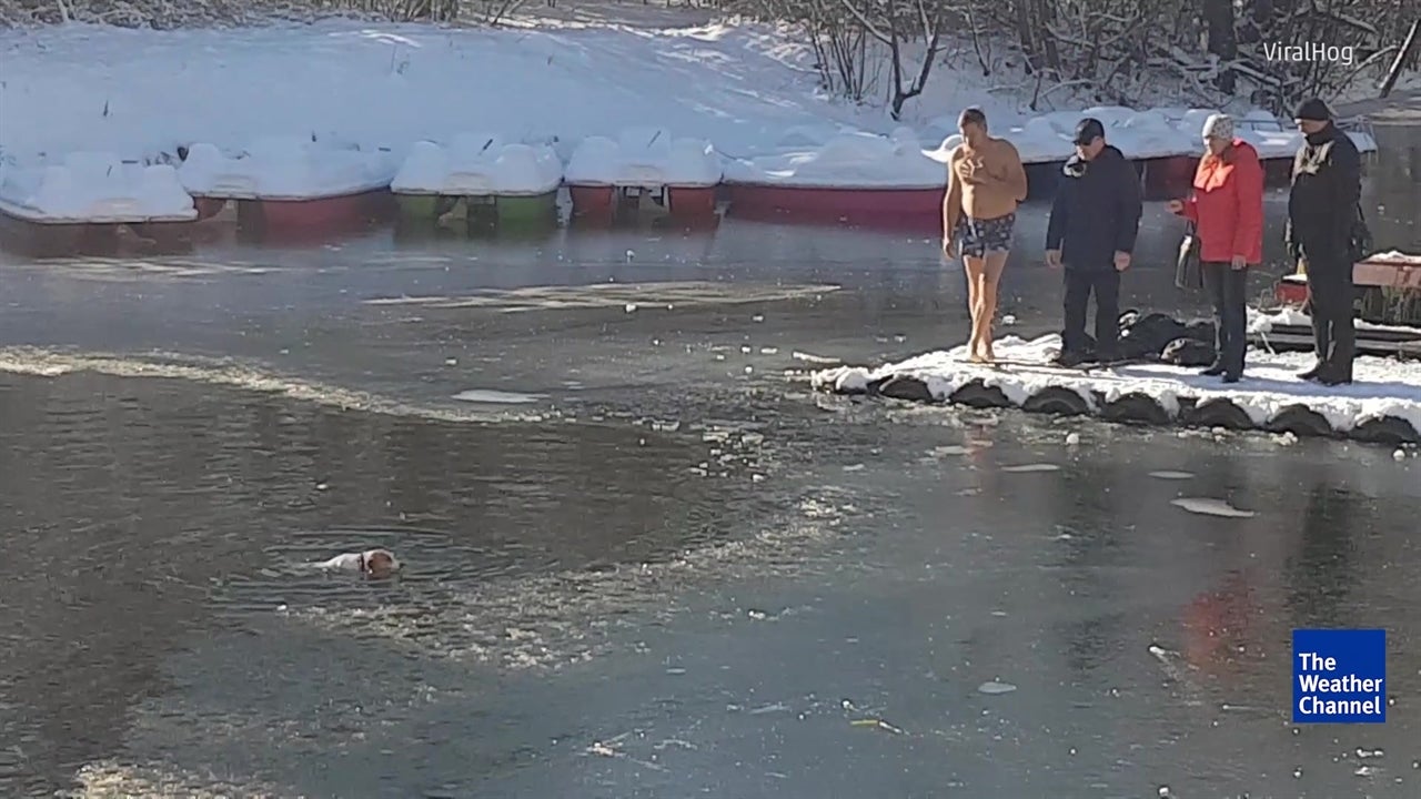 Brave Man Rescues Dog in Frozen Pond