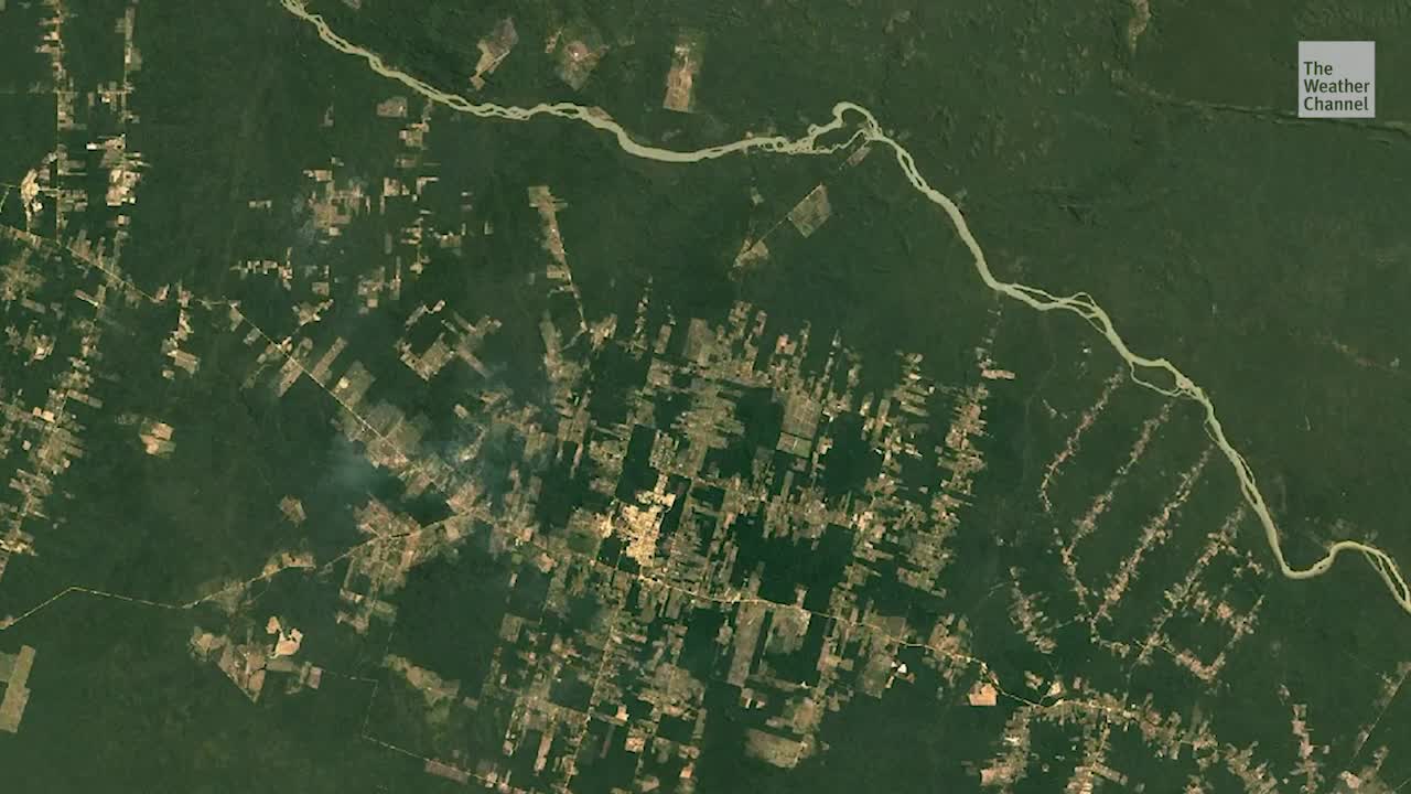 Brazil Deforestation Reaches Highest Rate in 15 Years