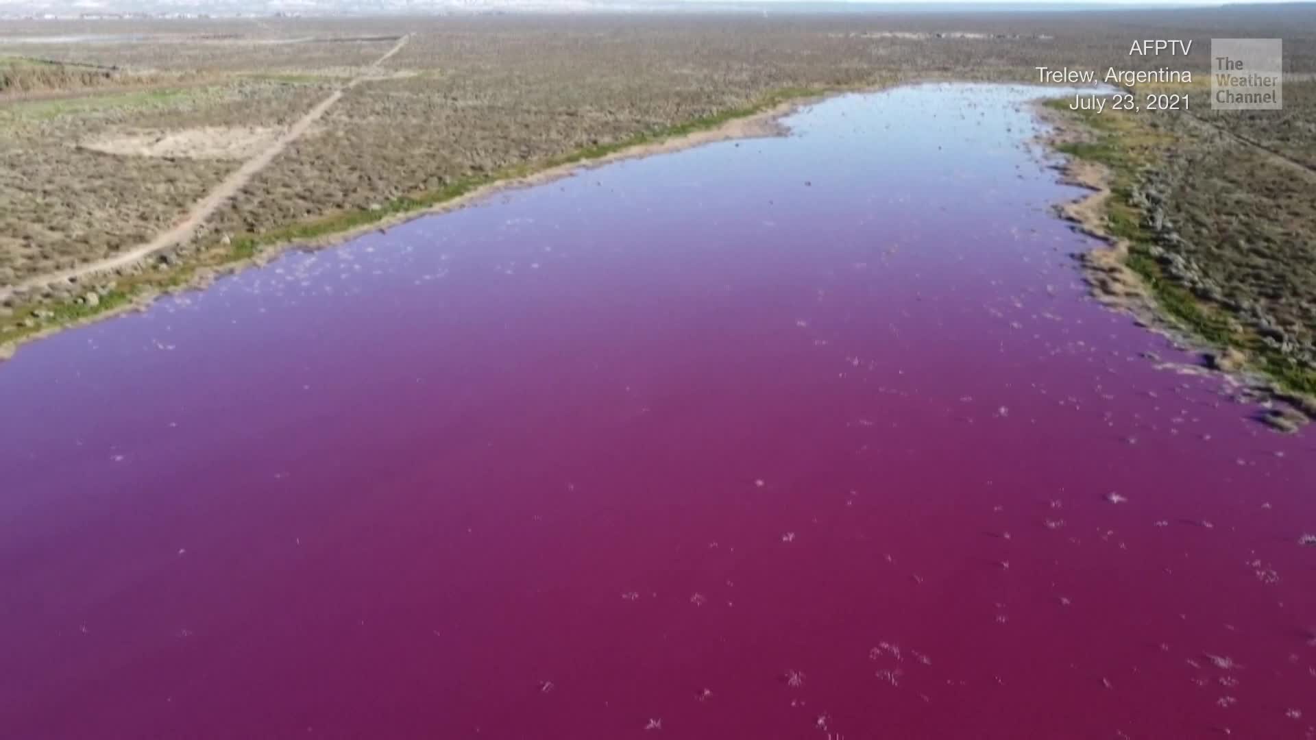 Bright Pink Lagoon Sparks Controversy