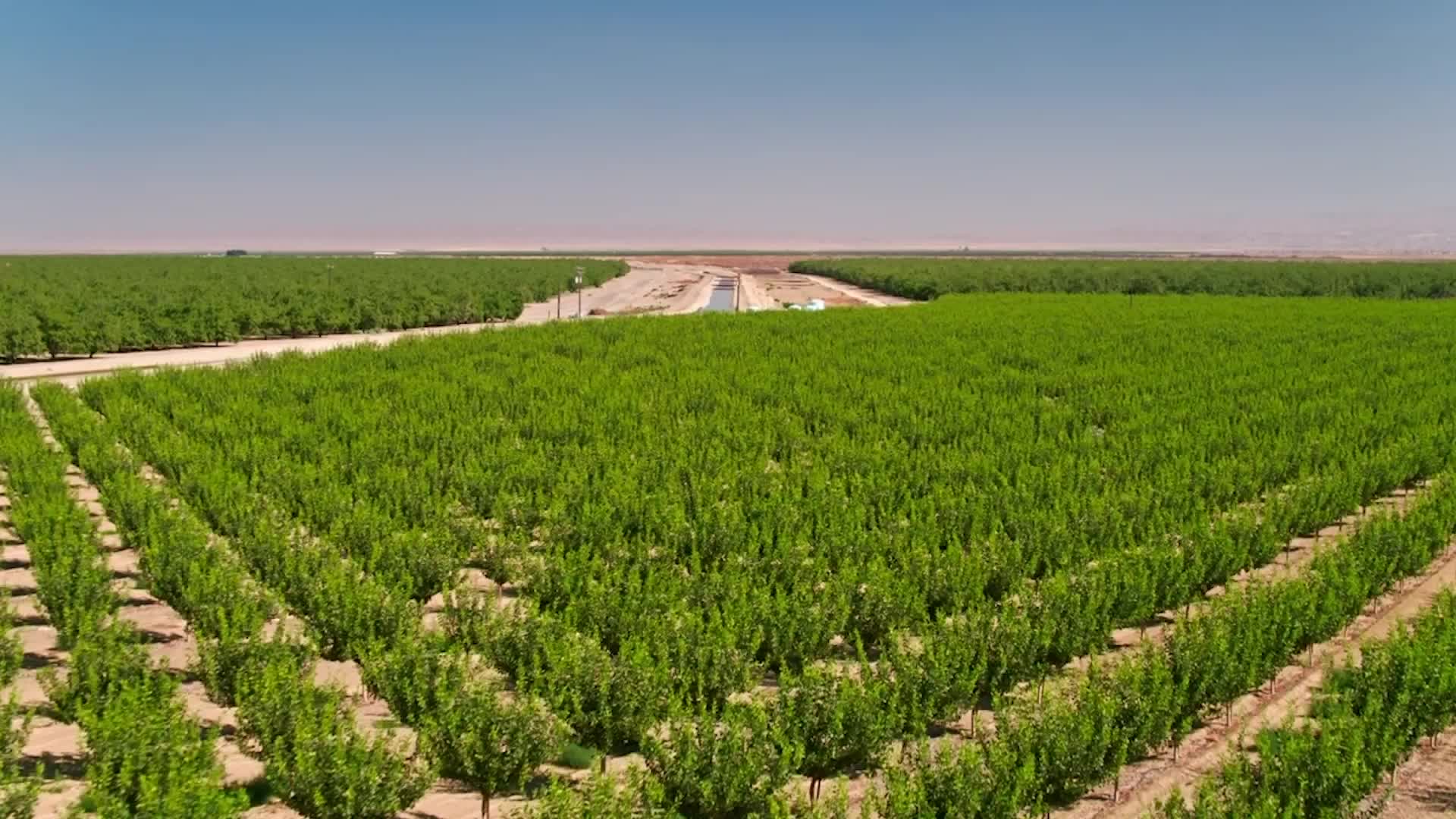 California Farmers Paid Not to Plant Crops