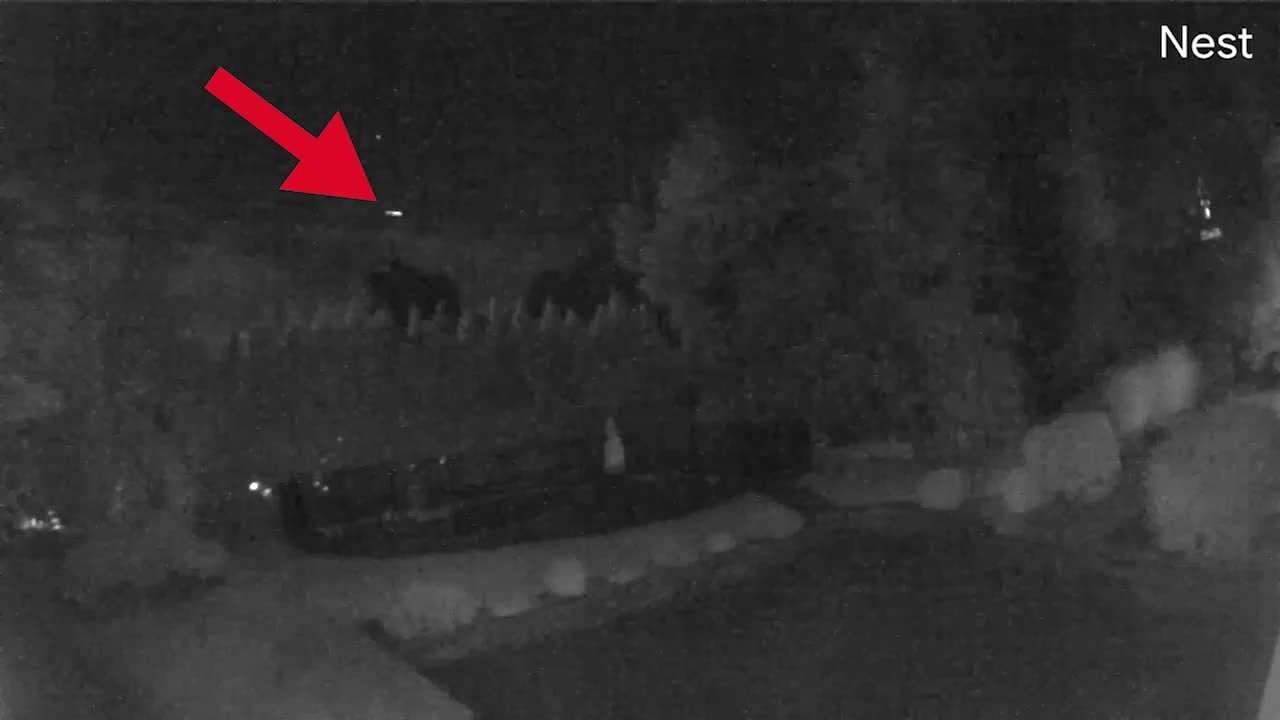 Cameras Capture Meteor as it Migrates Across Northeastern Night Sky
