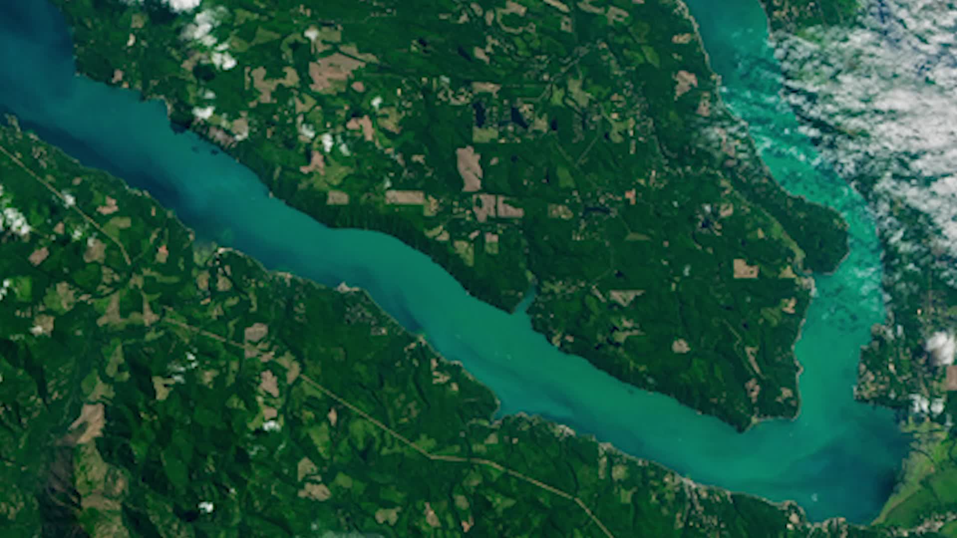Canal Near Seattle Turns Bright Blue