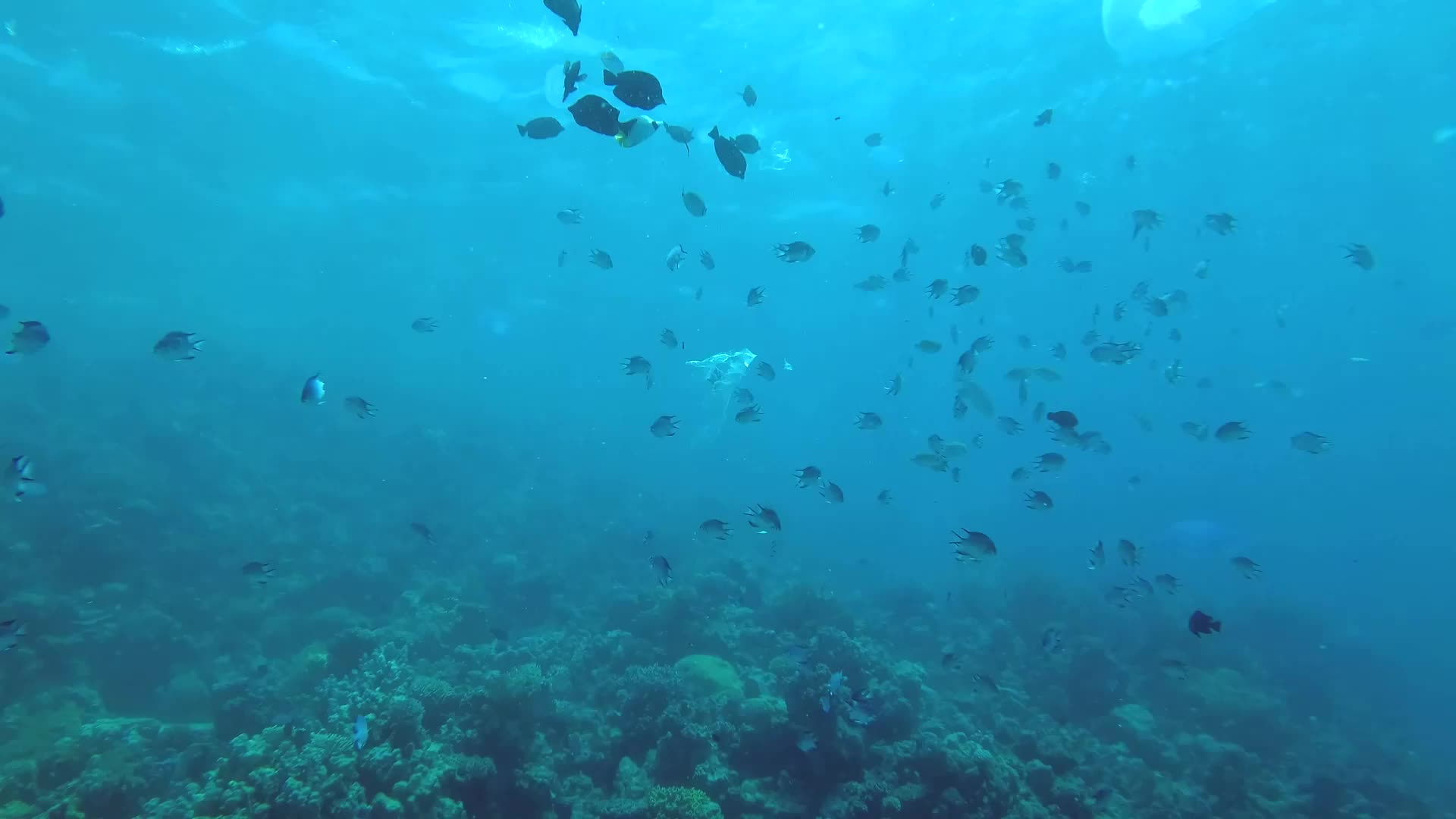 Car Tires Major Source of Ocean Plastic