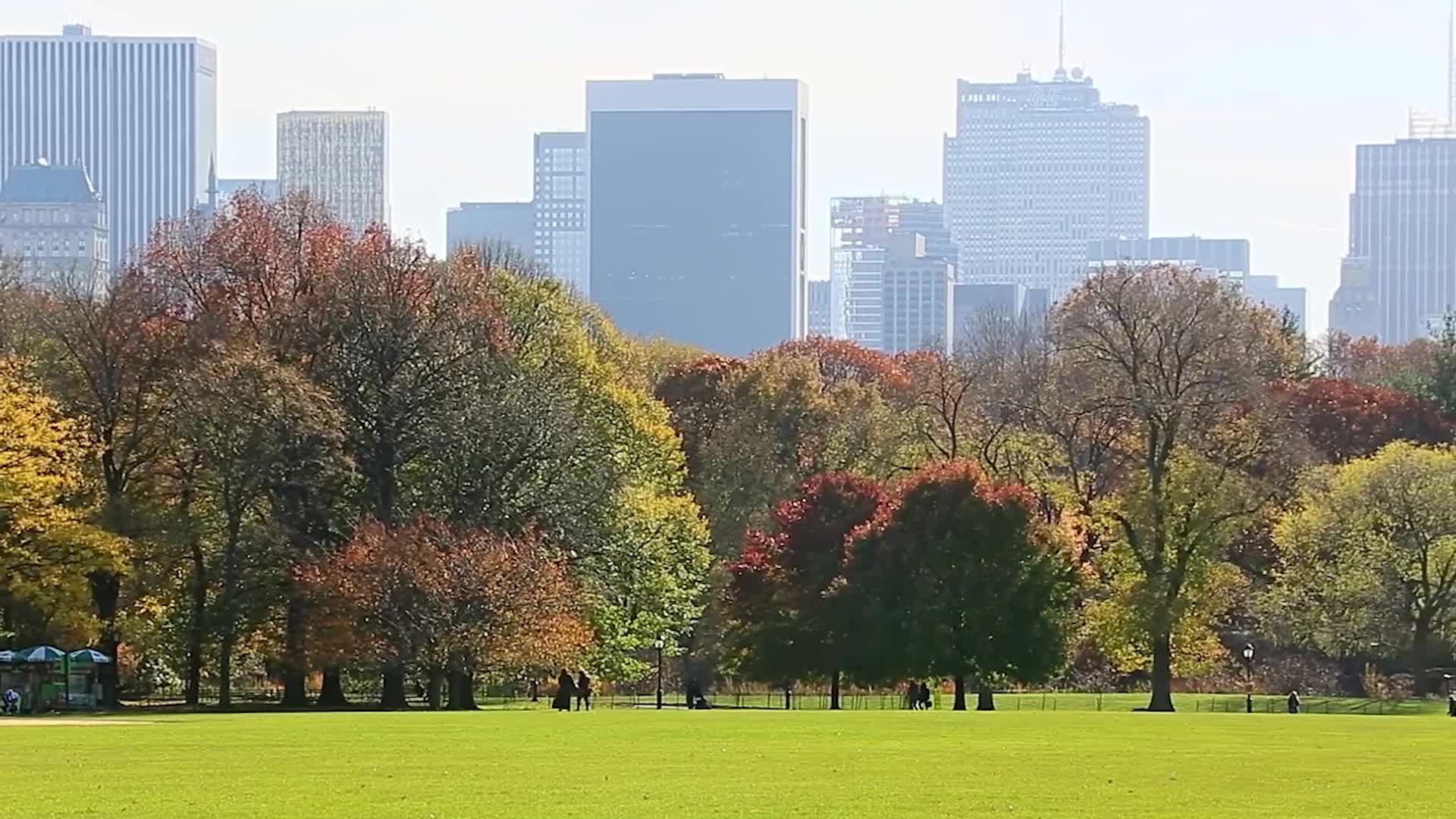 Central Park’s Great Lawn Closes Early Due To Damage