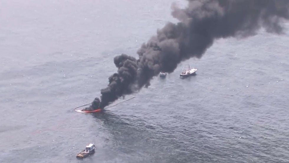 Chemicals Used in 2010 BP Oil Spill Did More Harm Than Good
