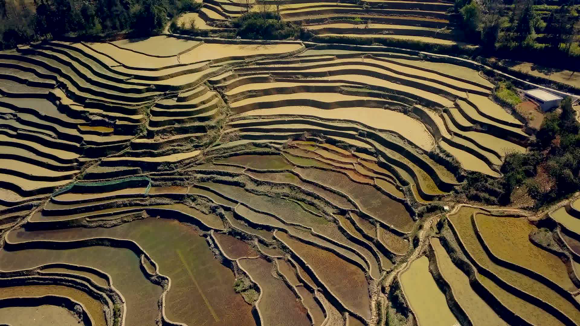 China’s Rice Terraces Are Mesmerizing