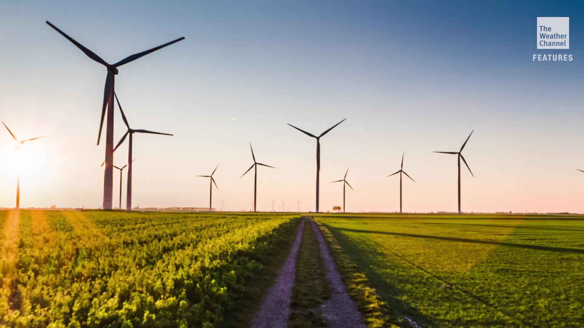 Clean Energy Overtakes Coal For The First Time