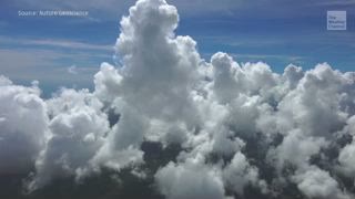 Climate Change Killing Clouds, Making Earth Warmer?