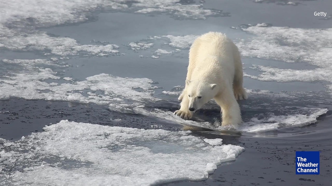 Climate Change Reference Scrubbed