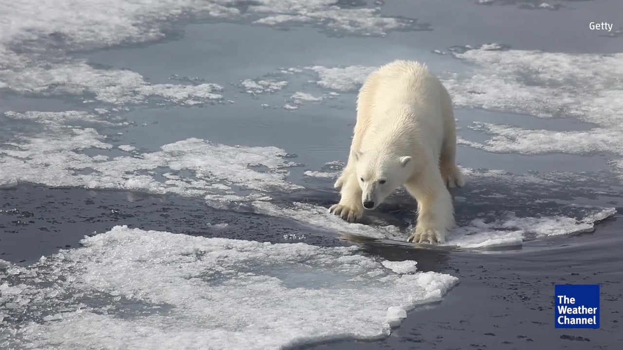 Climate Change Reference Scrubbed
