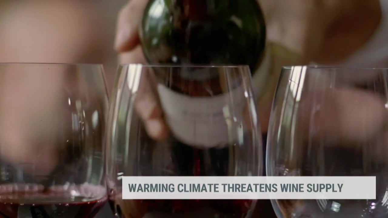 Climate Change Threatens Wine Supply