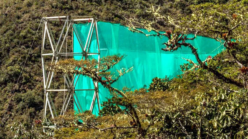 Climate Change’s Effect on Cloud Forests
