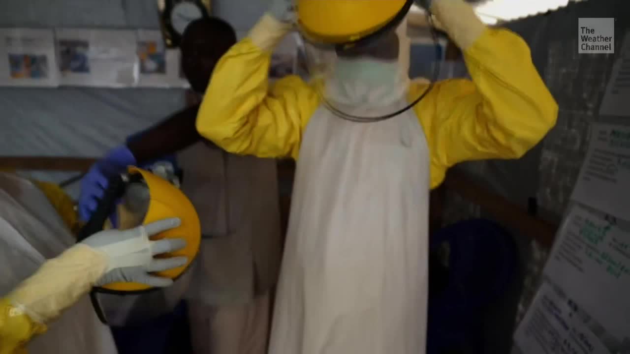 Climate Crisis Raises Risks of Ebola Outbreaks