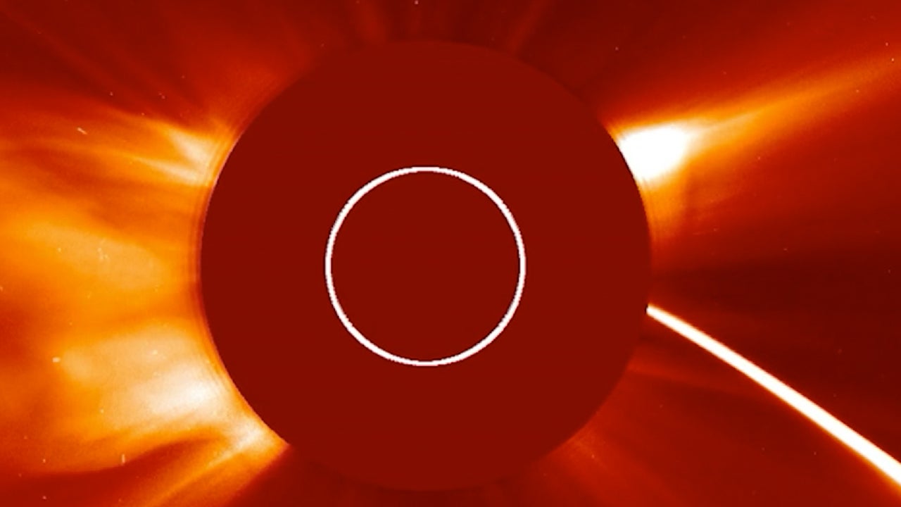 Comet Obliterated By The Sun