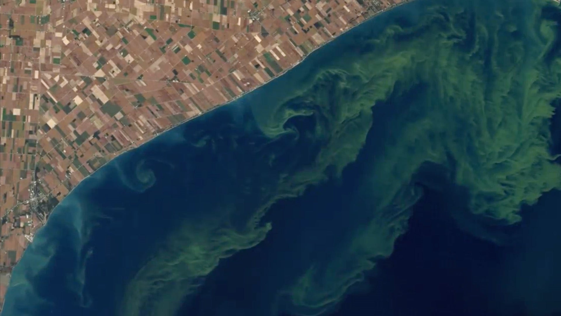 Conditions Right for Lake Erie Algae Event