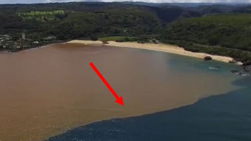 Contaminated Hawaii Ocean is Brown and Blue